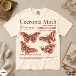 May include: An ivory short-sleeve t-shirt featuring a brown graphic print of four Cecropia moths. The design includes the text 'Cecropia Moth', phonetic pronunciation, and scientific facts in both English and Japanese, detailing habitat, behavior, diet, and lifespan.