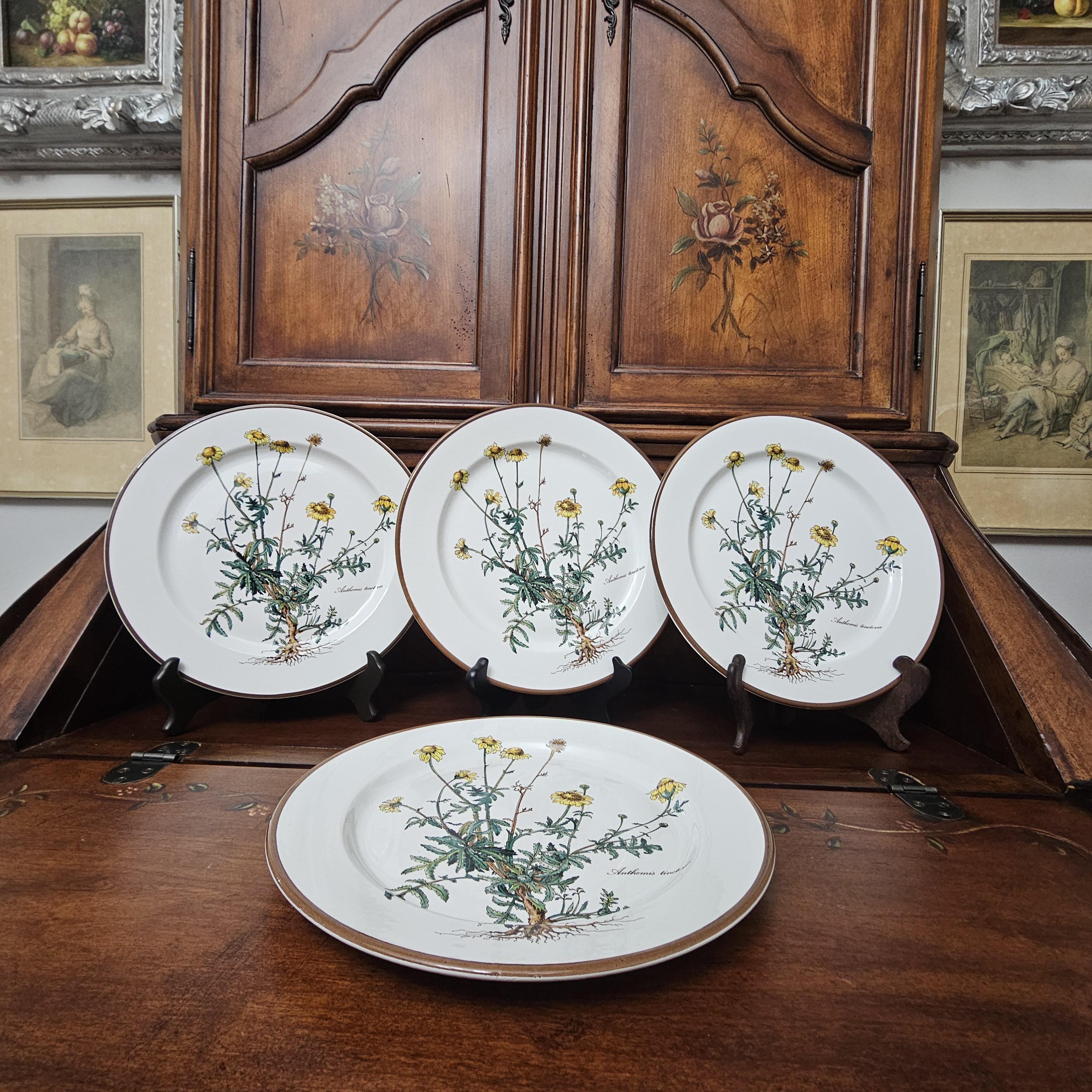 Villeroy Boch Botanica - Etsy