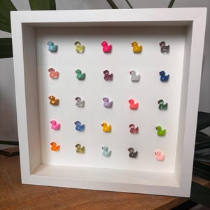 May include: A square white shadow box frame containing a grid of twenty-five miniature rubber ducks in various colours including pink, blue, yellow, green, orange, purple, grey, and white, each featuring a small red beak, arranged in five rows.
