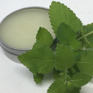 Lemon Balm Herbal All Purpose Salve, 1 oz. Tin