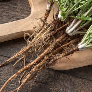 Dandelion Root, Taraxicum officinale, Certified Organic, Dried Root
