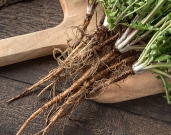 Dandelion Root, Taraxicum officinale, Certified Organic, Dried Root