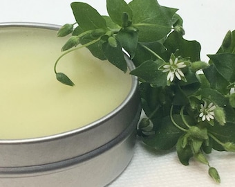 Chickweed Salve