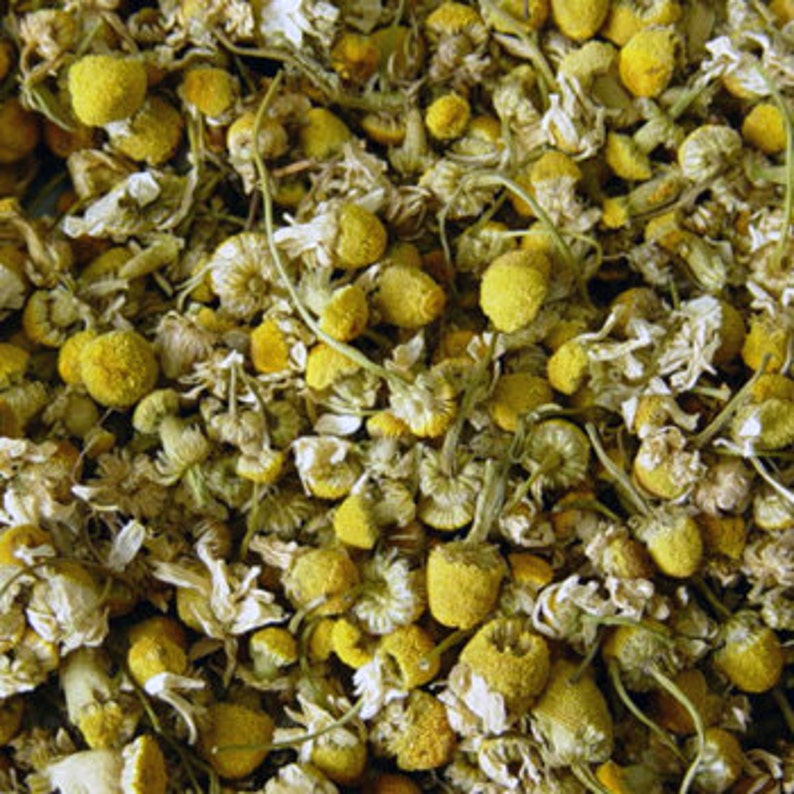 Chamomile Flowers Dried Flowers Matricaria chamomilla Etsy