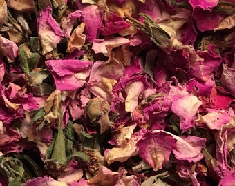 Rose, Pink Petals, Buds, Stems, and Leaf, Rosa centifoliah