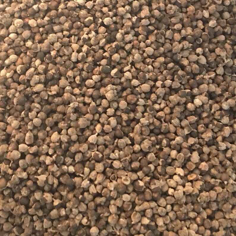 Chaste Tree Berries Vitex Dried Berries Vitex Angus Castus Etsy