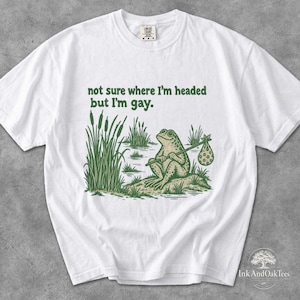 Grappig T-shirt met kikkerprint, Gay Pride-meme met bandjesprint op de voorkant, Comfort Colors 1717
