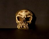 Vintage Classico Italia GOTH SKULL Belt Buckle From Artist Dave Archers Personal Museum
