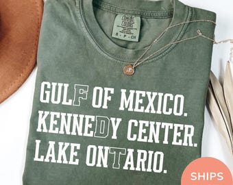 FDT Lake Ontario Kennedy Center Shirt, Comfort Colors Anti-Tr*mp Protest Tee, Subtle Pro-Democracy Activism Gift, Subtle FDT Shirt
