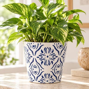 May include: A vibrant green and yellow variegated pothos plant potted in a white ceramic planter featuring a repeating blue symmetrical floral pattern. The plant has numerous heart-shaped leaves that extend upwards and outwards from the pot.