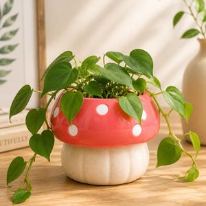 May include: A ceramic mushroom-shaped planter featuring a glossy red cap with white polka dots and a textured, off-white stem base. A trailing green heart-leaf philodendron plant grows from the top, with vines cascading over the sides.