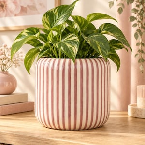 May include: A cylindrical ceramic planter featuring vertical pink and white stripes. The planter contains a lush green pothos plant with variegated heart-shaped leaves. The pot has a smooth, glossy finish and a rounded base.