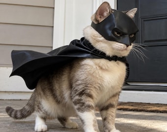 Set maschera e mantello da supereroe gatto nero per Halloween, accessorio per costume cosplay da pipistrello.
