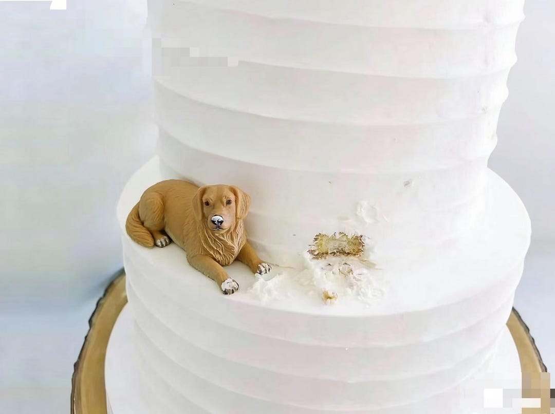 personalized-dog-cat-wedding-cake-topper-custom-clay-figurine-pet
