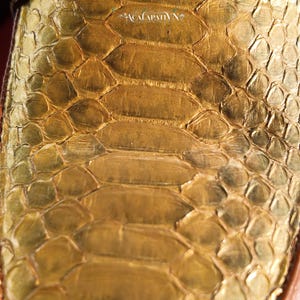 Pu&ograve; includere: Una vista ravvicinata di una superficie testurizzata color oro metallizzato con un motivo a scaglie ripetuto che ricorda la pelle di serpente. Il testo ACALAPATI VN &egrave; stampato in un piccolo carattere bianco stilizzato nella parte superiore.