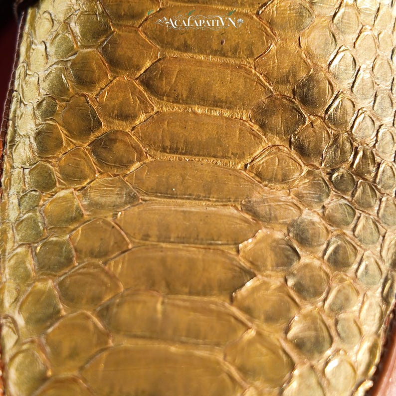 Pu&ograve; includere: Una vista ravvicinata di una superficie testurizzata color oro metallizzato con un motivo a scaglie ripetuto che ricorda la pelle di serpente. Il testo ACALAPATI VN &egrave; stampato in un piccolo carattere bianco stilizzato nella parte superiore.
