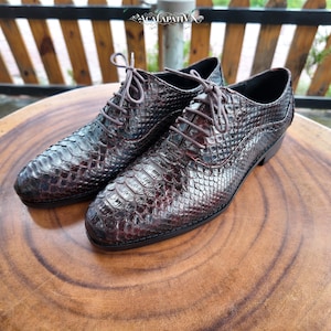 Pode incluir: Um par de sapatos oxford castanho-escuros com um padrão texturizado de pele de cobra, biqueiras arredondadas e atacadores castanhos a condizer. Os sapatos têm um salto baixo, fecho clássico com atacadores e costuras visíveis nos lados.