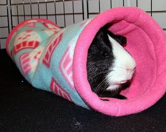 guinea pig tubes tunnels