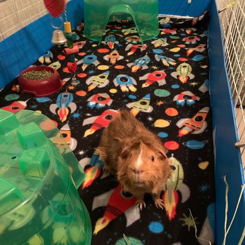 Custom Guinea Pig Fleece Cage liner flat or with 6 or 12 inch | Etsy