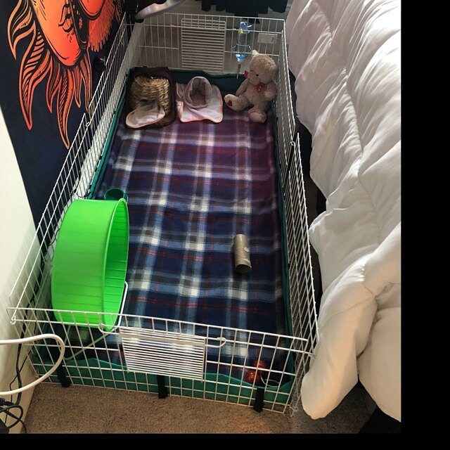 Midwest Cage Liner 24x47 Guinea Pig Cage Liner Fleece Cage Etsy