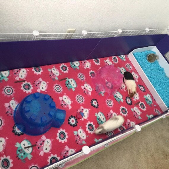 guinea pig cage bedding