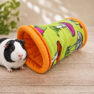 May include: A black and white guinea pig stands next to a cylindrical fabric tunnel. The tunnel features a bright lime green exterior with a colorful mushroom pattern and a solid orange fleece lining at both ends of the tube structure.