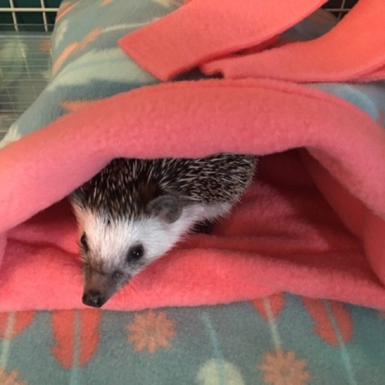 Sleeping bag Fleece Cuddle sleep Sack for hedgehog guinea pig Etsy