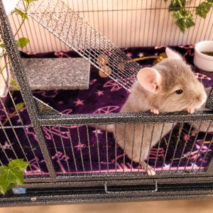 Ferret Nation Critter Nation fleece Cage Liner includes absorbent washable layer zdjęcie 10