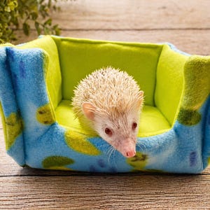2x3 Liner
Cage Hammock
Pee Pad
Guinea Pig Toy
Absorbent Uhaul
C and C Cage
2x4 Liner
Midwest Cage
Piggy Bed
Guinea Pig Liner
Cage Liner
Guinea Pig
Cuddle Cup

Custom Fleece C&C Cage Liner - 1x2 2x2 2x3 2x4 2x5 2x6 Liner | Fleece Cage Liner | Guinea Pig Cage Liner | Hedgehog Absorbent Fleece Liner