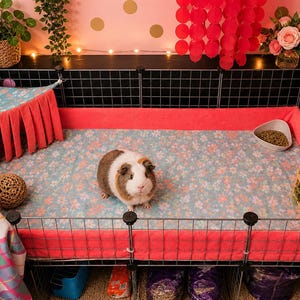 May include: A guinea pig enclosure featuring a light blue floral fleece liner, a coral pink fleece side wall, and a matching coral pink corner hammock with fringe. The setup includes a wooden hay rack, a small bowl of food, and a woven ball.