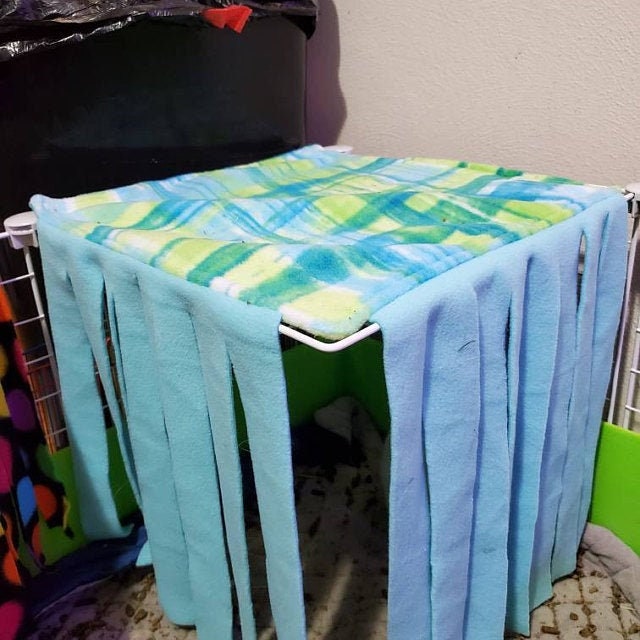 Guinea pig top fleece forest