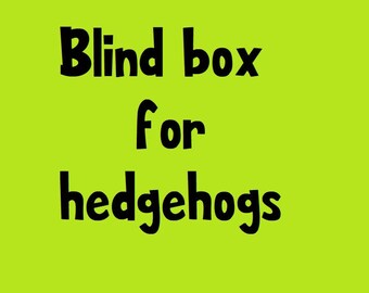 Hedgehog Blind Box - Small Animal Supplies