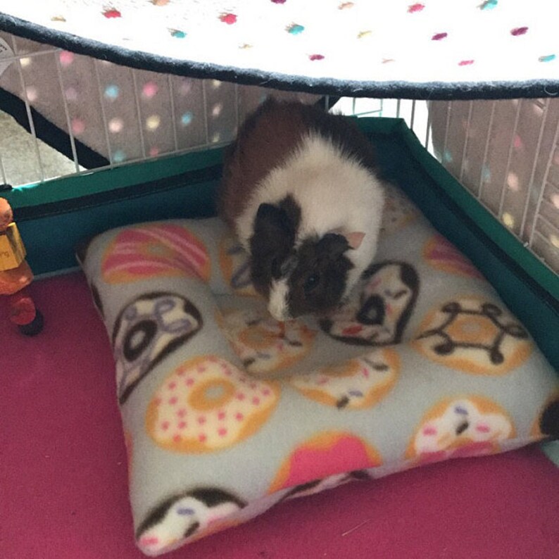 Custom Fleece cozy pillow square for hedgehogs guinea pigs ...