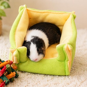 2x3 Liner
Cage Hammock
Pee Pad
Guinea Pig Toy
Absorbent Uhaul
C and C Cage
2x4 Liner
Midwest Cage
Piggy Bed
Guinea Pig Liner
Cage Liner
Guinea Pig
Cuddle Cup

Custom Fleece C&C Cage Liner - 1x2 2x2 2x3 2x4 2x5 2x6 Liner | Fleece Cage Liner | Guinea Pig Cage Liner | Hedgehog Absorbent Fleece Liner