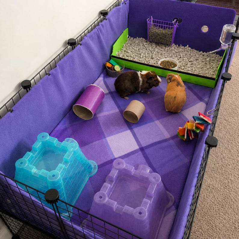 May include: A rectangular wire pet enclosure with purple fleece lining, featuring two guinea pigs, a green-bordered bedding tray, a purple hay rack, a water bottle, two plastic castle hideouts, two cardboard tubes, and a colorful toy.