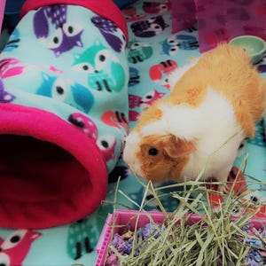 Give your small pets the cozy hideaway they deserve with this Guinea Pig Tunnel Bed, designed for comfort, play, and stress-free snuggling. This soft tunnel creates the perfect safe space. This washable small animal hideout is ideal for guinea pigs, hedgehogs, ferrets, chinchillas, and other small pets.
Features reinforced, structured openings on both ends to help it stay open, making it easy for your pets to enter, exit, and explore. It’s perfect for playtime or nap time.
