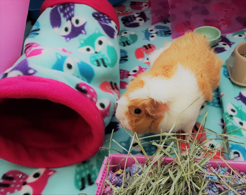 Give your small pets the cozy hideaway they deserve with this Guinea Pig Tunnel Bed, designed for comfort, play, and stress-free snuggling. This soft tunnel creates the perfect safe space. This washable small animal hideout is ideal for guinea pigs, hedgehogs, ferrets, chinchillas, and other small pets.
Features reinforced, structured openings on both ends to help it stay open, making it easy for your pets to enter, exit, and explore. It’s perfect for playtime or nap time.