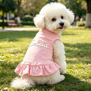 Könnte beinhalten: Ein kleiner weißer Hund mit lockigem Fell trägt ein hellrosa ärmelloses Haustierkleid. Das Kleid hat einen gerüschten Saum und den Namen Emilia in weißer Schreibschrift gestickt, verziert mit zwei kleinen rosa und gelben Blumenapplikationen.