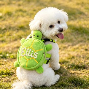 Op de afbeelding: Een kleine witte hond draagt een felgroen pluche schildpadrugzak-harnas. De rugzak heeft een schildpadschildontwerp met gele stiksels en de naam Ellis in witte schrijfletters geborduurd op het midden van het schild. Zwarte riemen bevestigen het.