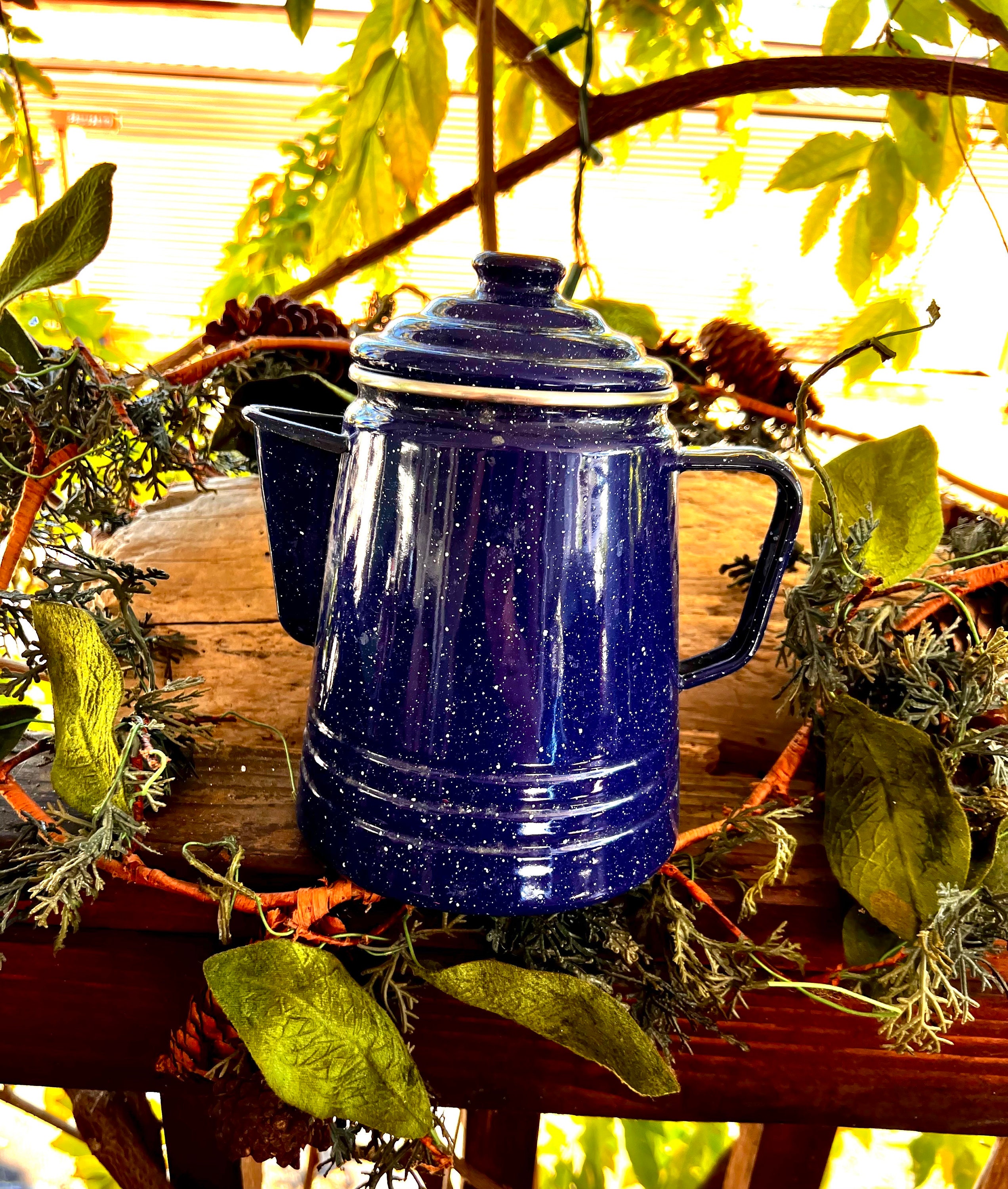 Classic Blue Percolator Enamelware Camping Coffee Pot - 12 Cup – COLETTI  Coffee