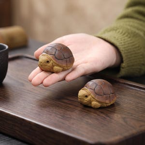 May include: Two small, sculpted turtle figurines featuring textured, light tan skin and rounded, dark brown shells with detailed plate patterns. One turtle is held in an open palm, while the other rests on a dark wooden surface next to a black cup.