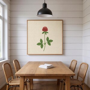 Red Clover Poster Print | Vermont State Flower Wall Art, Abstract Boho Botanical Decor, Bedroom image 6