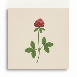 New England State Flowers Set of 3 | Printable Wall Art Bundle, Digital Download image 4