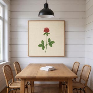 Red Clover Printable Wall Art | Vermont State Flower Digital Download, Boho Botanical Print image 6