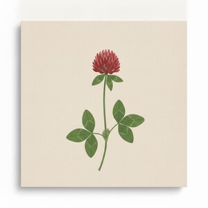 Red Clover Printable Wall Art | Vermont State Flower Digital Download, Boho Botanical Print image 2