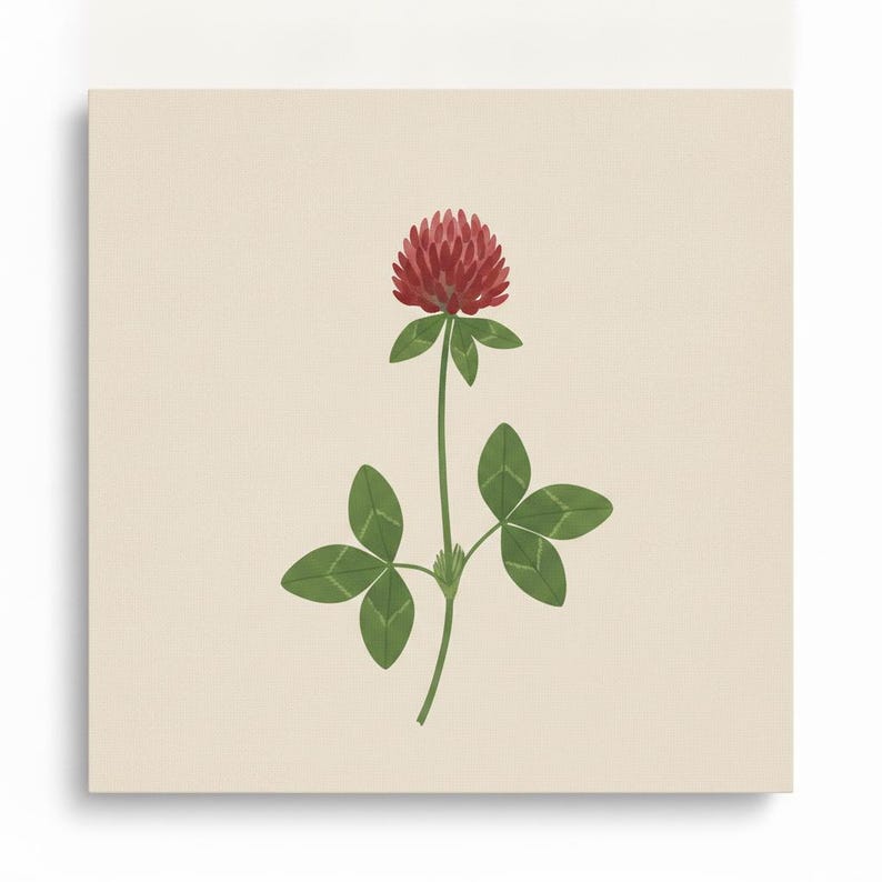 New England State Flowers Set of 3 | Abstract Boho Canvas Prints, Botanical Wall Art Gallery Set, Sage Green Decor image 4