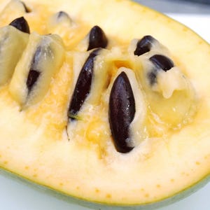 Pode incluir: Um corte transversal de uma fruta cherimoia mostrando a polpa cremosa de cor amarelo-pálido e múltiplas sementes ovais, lisas e castanho-escuras incrustadas na polpa. A fruta tem uma casca exterior verde-clara com uma textura subtilmente salpicada.