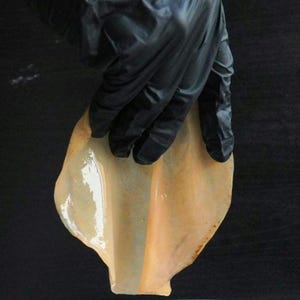 Ekologiskt Kombucha Starter Kit med SCOBY | Aktiv Moderkultur, Startvätska, Instruktioner