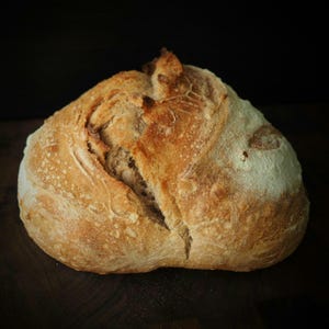 Kit de levain bio | Culture de pain artisanal française T65 (séchée)