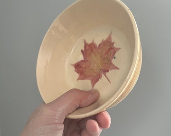 Red Leaf Collection